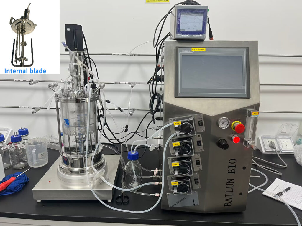 glass bioreactor