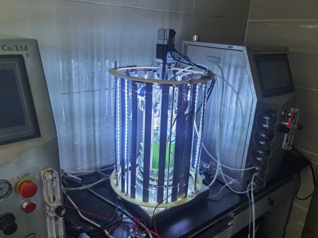 Bailun 10L glass photobioreactor BLBIO-GJL