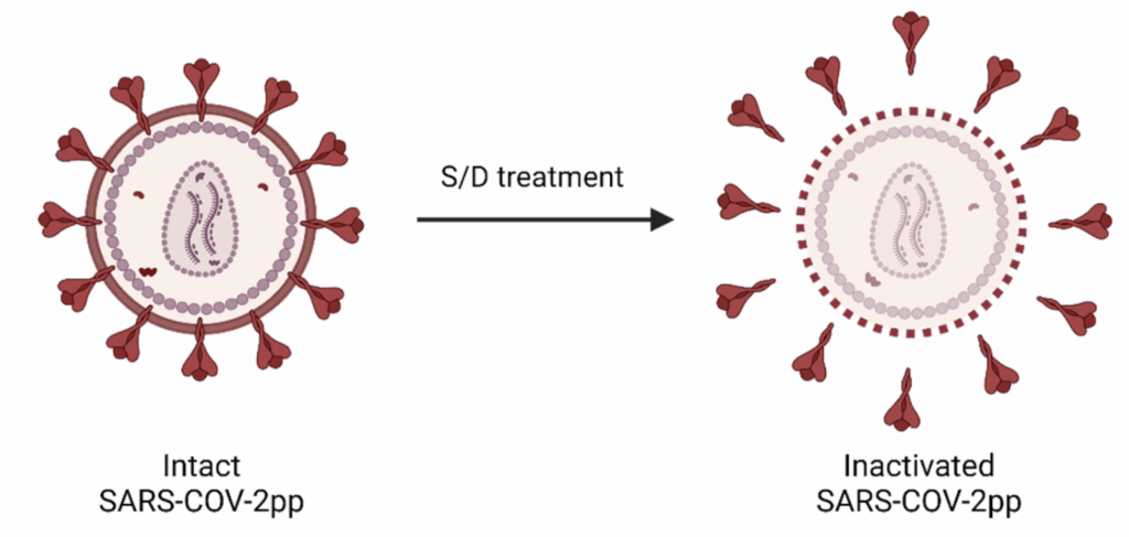 viral inactivation