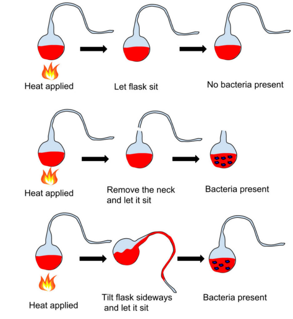 biogenisis