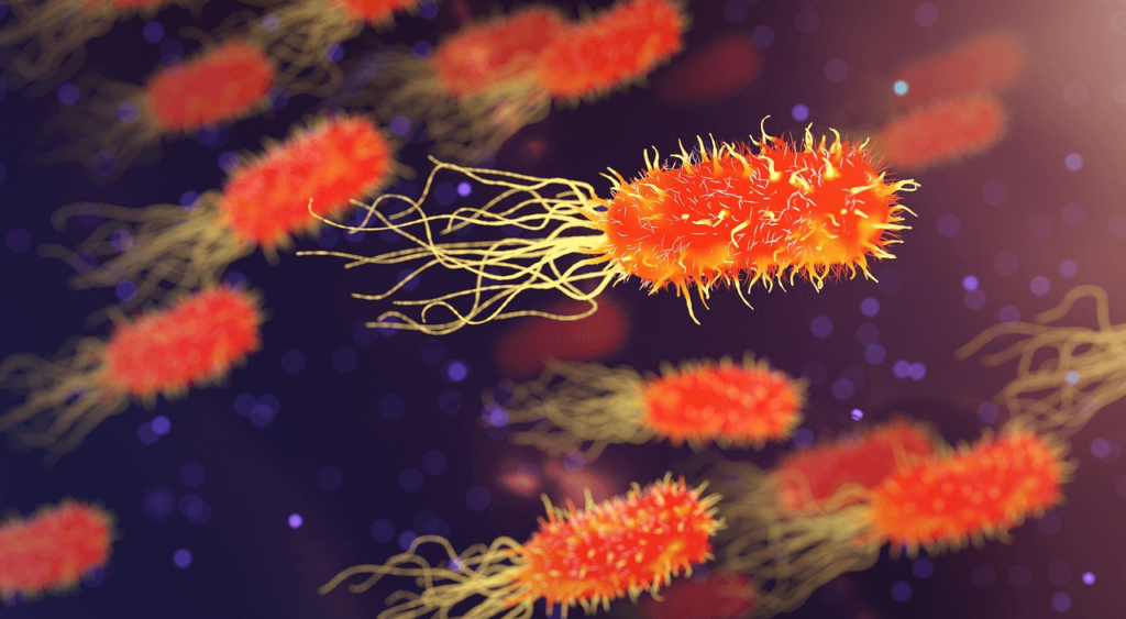 Vaccine History-Fighting Influenza The Flu Vaccine
