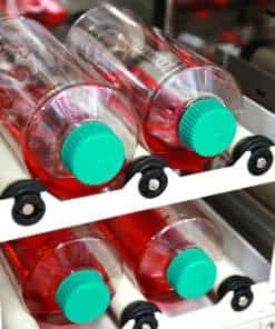 bioreactor scale up
